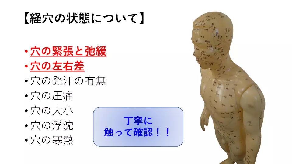 東洋医学へのいざない 診察編⑨ これまでにやった診察法の総まとめ